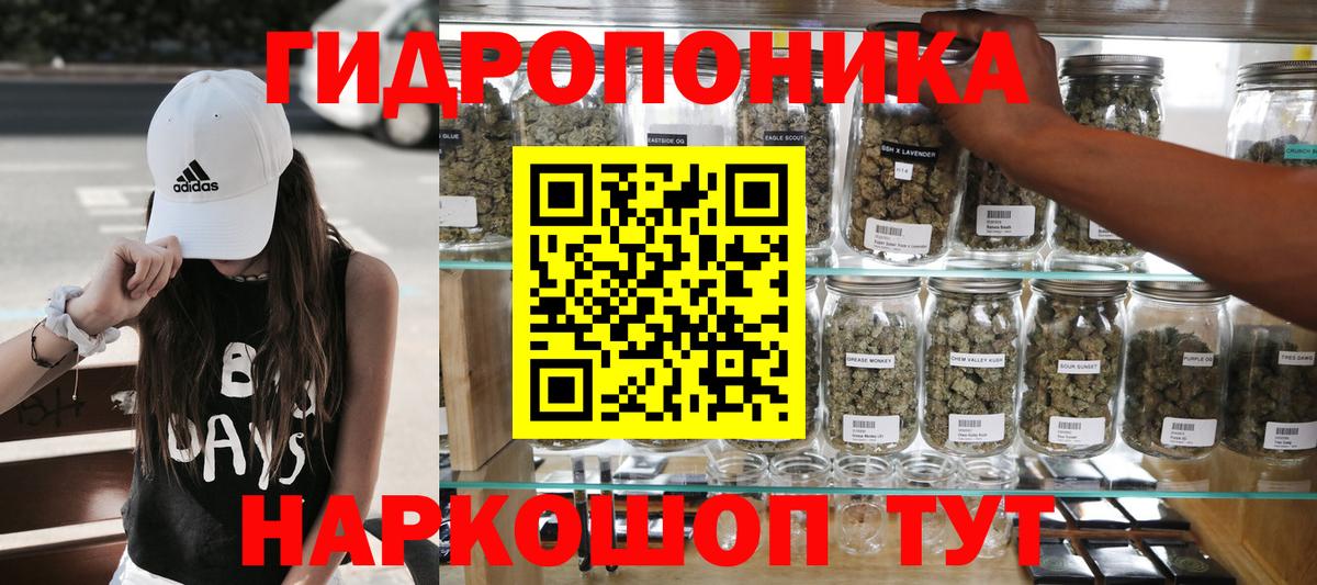 Бошки Шишки THC 21% Кимовск
